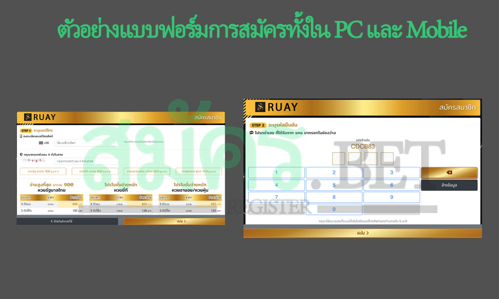 ตัวอย่างแบบฟอร์มการสมัครรวย ruay.com