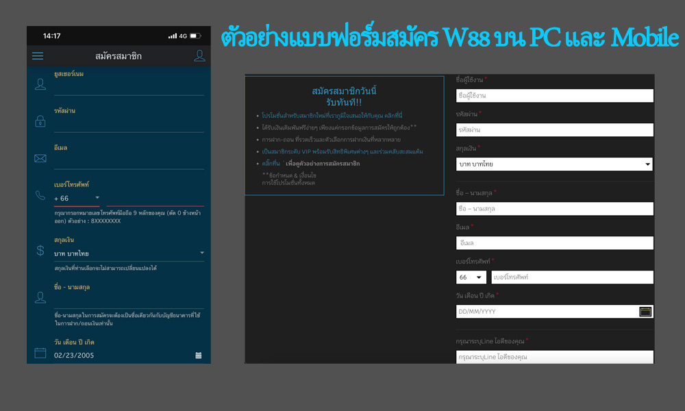 ตัวอย่างแบบฟอร์มการสมัคร w88